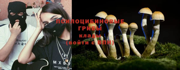 твердый Белокуриха