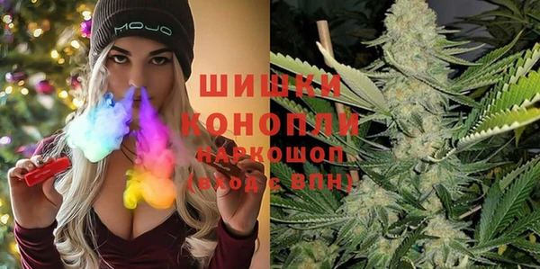 дурь Арсеньев